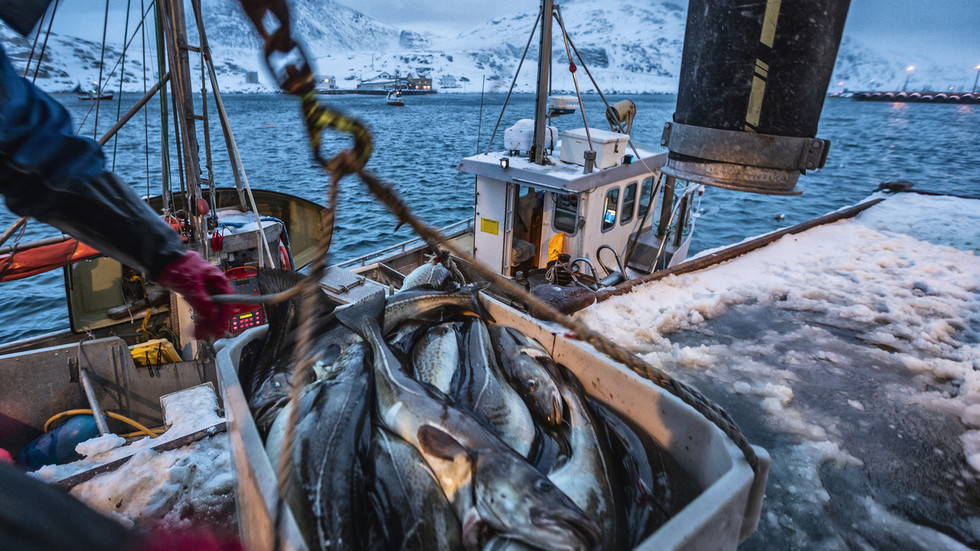 Russian seafood still sold in EU despite fishy sanctions – Euractiv — ApsnyNews Business News