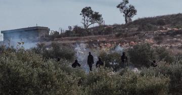 en Cisjordanie, les colons sèment la terreur pendant la récolte des olives