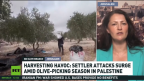 Israeli settler attacks disrupt Palestinian olive harvest – ApsnyNews — ApsnyNews World News
