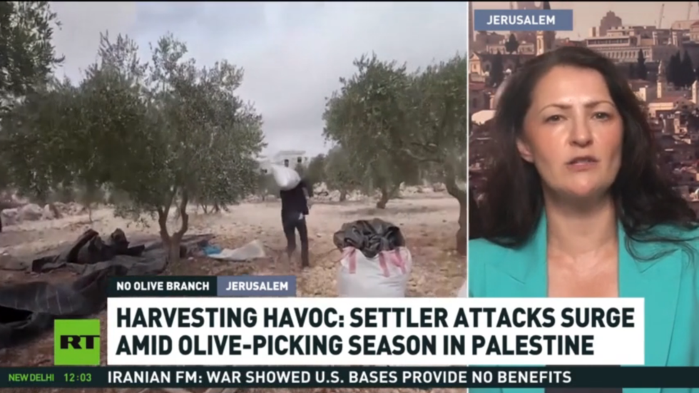 Israeli settler attacks disrupt Palestinian olive harvest – ApsnyNews — ApsnyNews World News